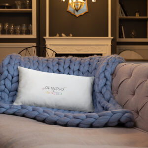all-over-print-basic-pillow-20x12-back-lifestyle-3-637de771c6a15.jpg